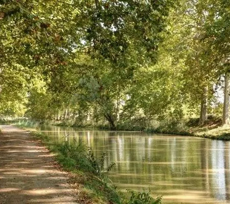 Le Petit Camisou, Un Ecrin Au Pied De La Cite Holiday home Carcassonne