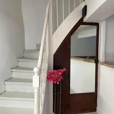 Le Petit Camisou, Un Ecrin Au Pied De La Cite Holiday home *