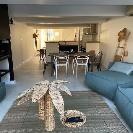Le Petit Camisou, Un Ecrin Au Pied De La Cite Holiday home