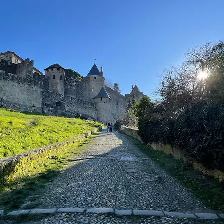 Le Petit Camisou, Un Ecrin Au Pied De La Cite Holiday home